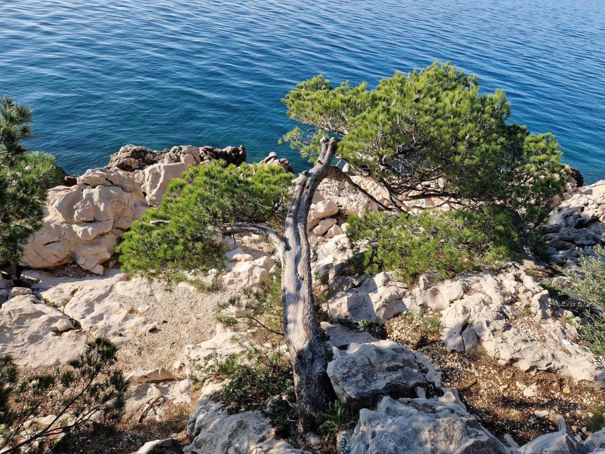 Apartment Villa Mirna Makarska Exterior foto